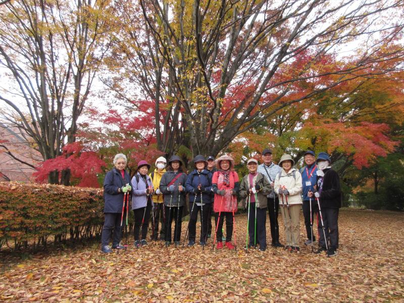 図書館裏の紅葉も素晴らしい