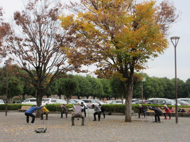 筋トレ（スクワット）