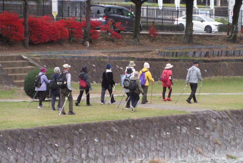 左岸の緑道を行きます