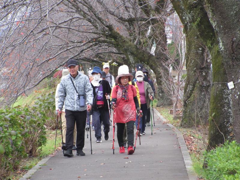 桜の土手を歩きます