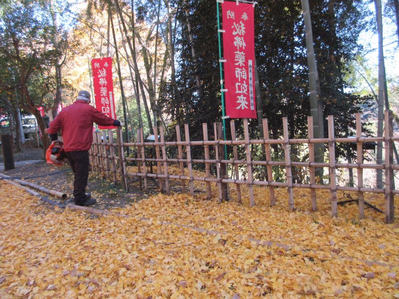 イチョウの葉でフカフカ