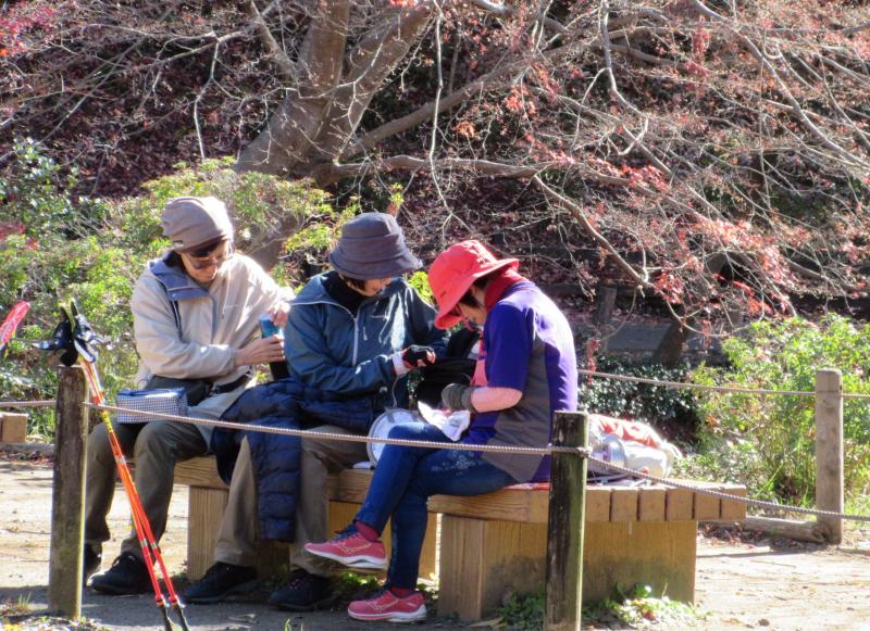 女性は2グループ