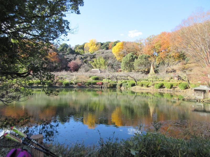 紅葉が湖面に映る