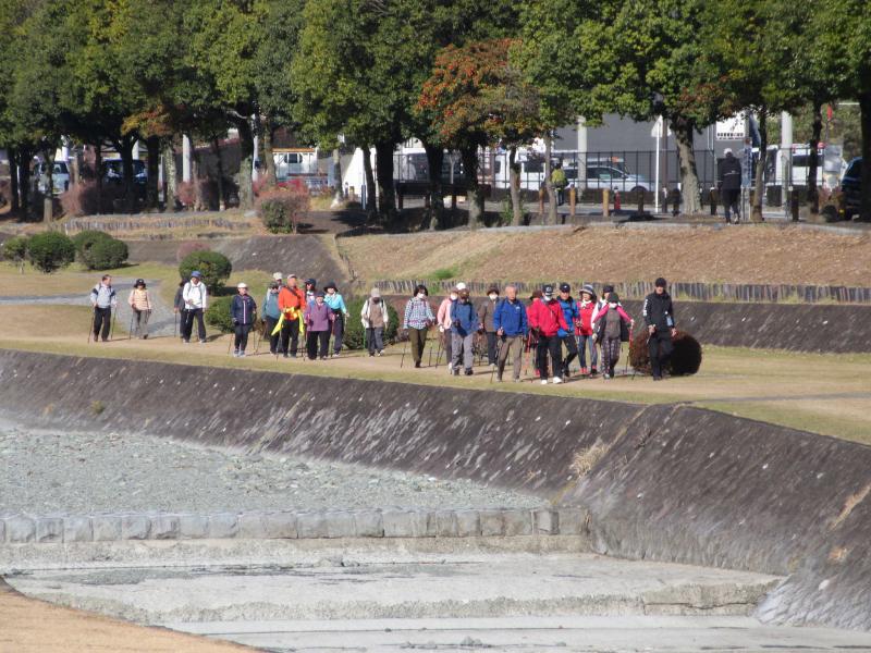 左岸を行くます