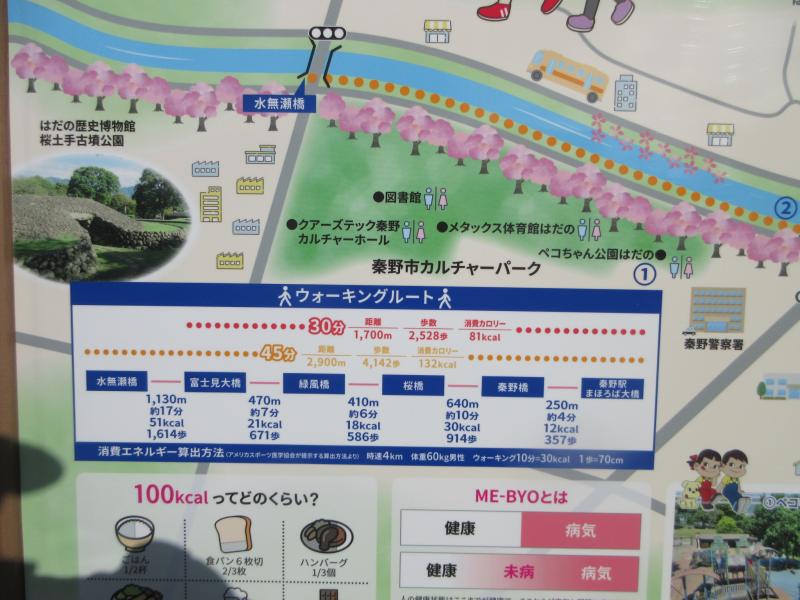 水無川の緑道の距離