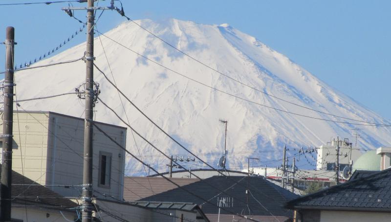 富士山が見れました