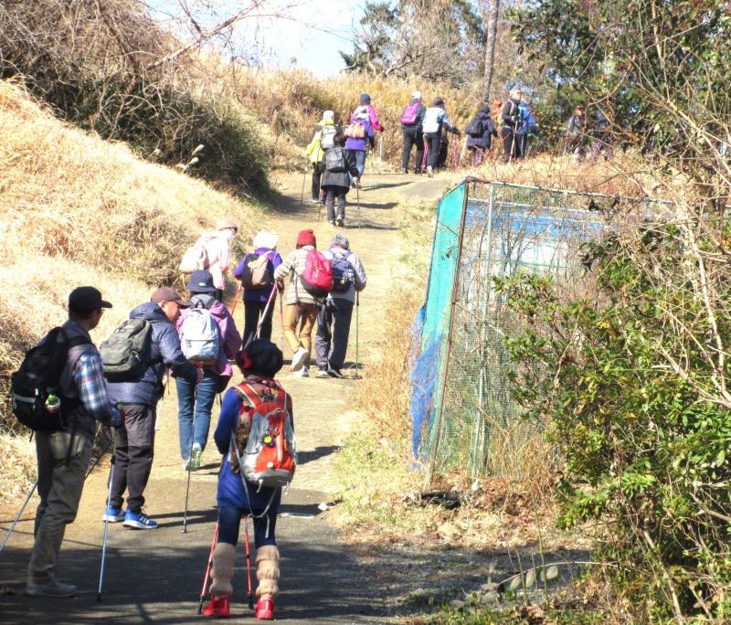 坂道を上って本宮に