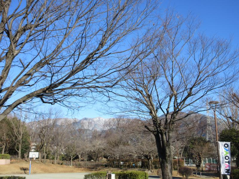 明日にも初雪は消えます？