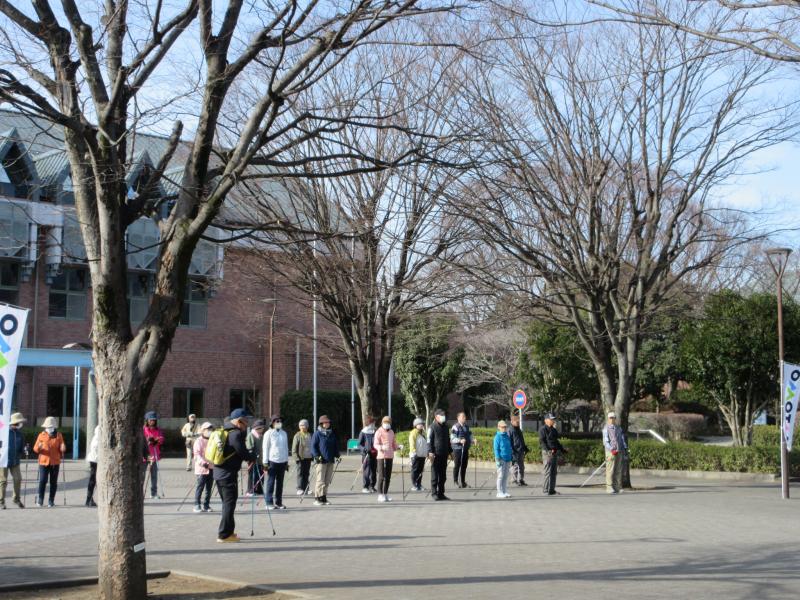 いつのようにNWに基本をします