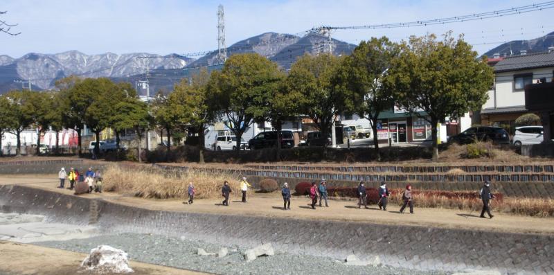 遠方に丹沢の山並み