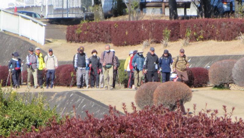 左岸の緑道を行きます