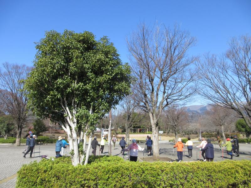 いつもの準備体操