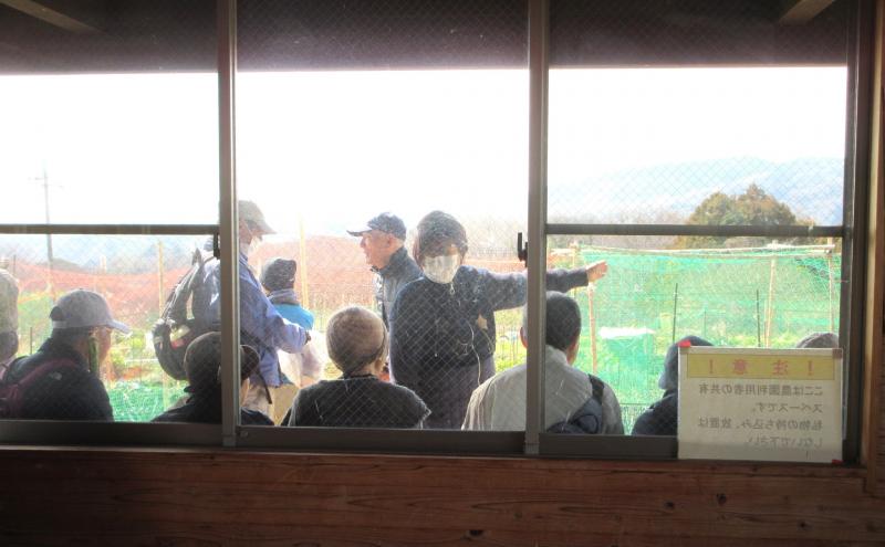 室内から写します。外は寒い