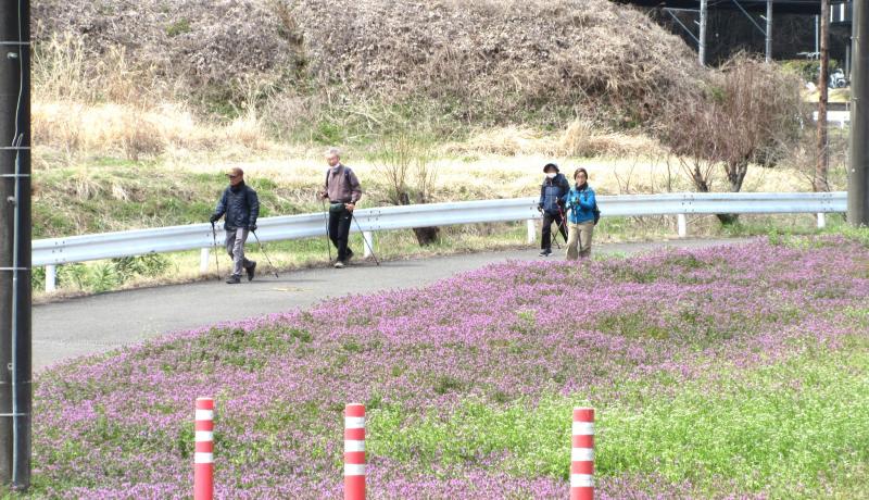 のんびり歩ける農道です