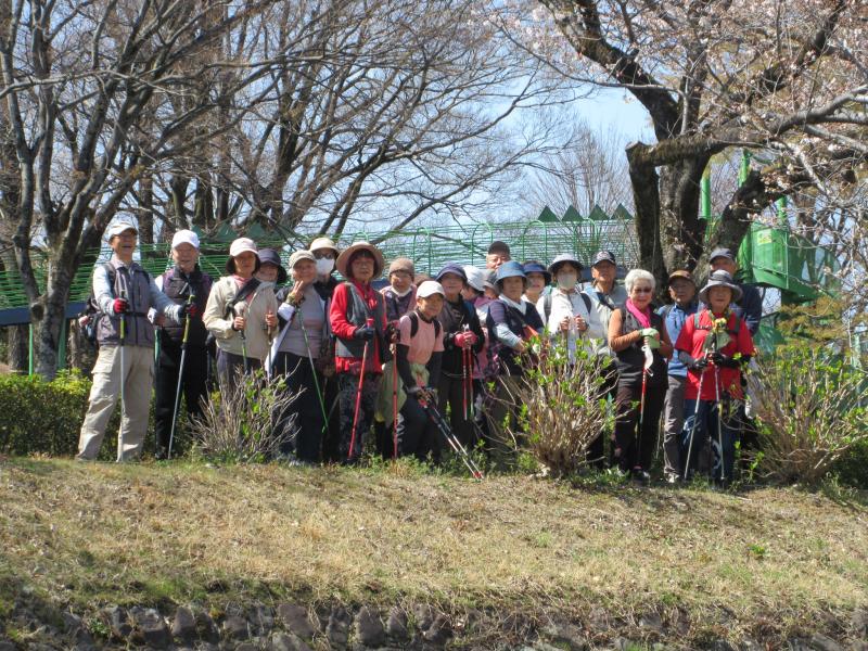 桜道の土手から
