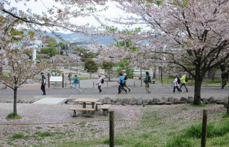 これから水無川へ
