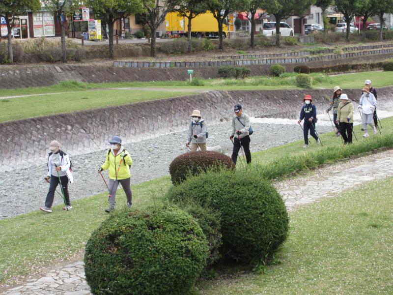 水無川緑道を行きます