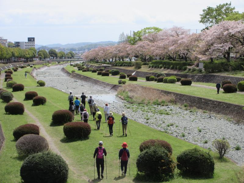 水無川左岸です