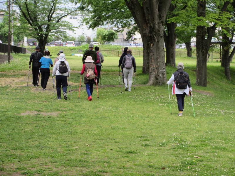 新緑の季節です