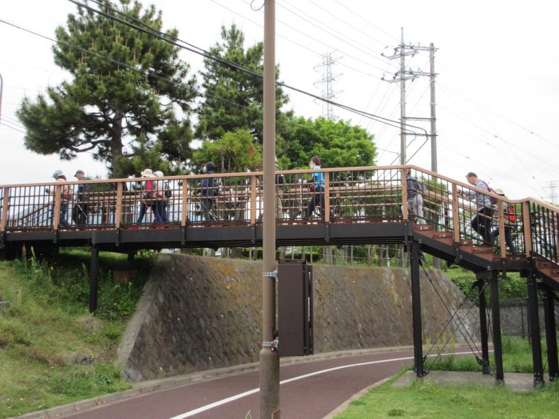 運動公園から水無川へ
