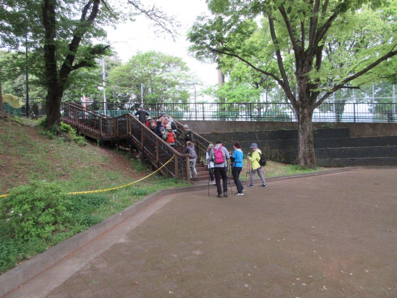 パラパラと降ってきました