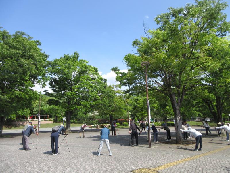 日差しが強く感じます