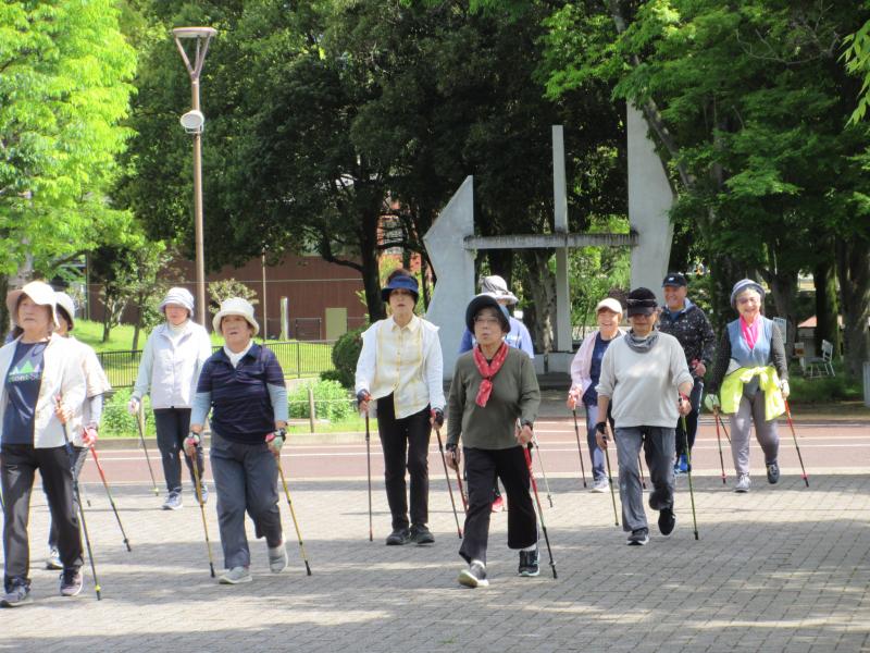 いかがですか、NWスタイルは