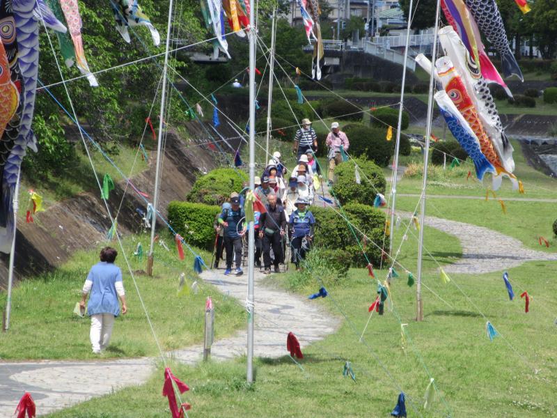 水無川緑道です