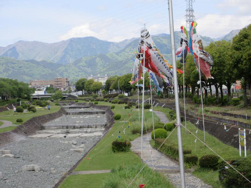 遠方に丹沢山地