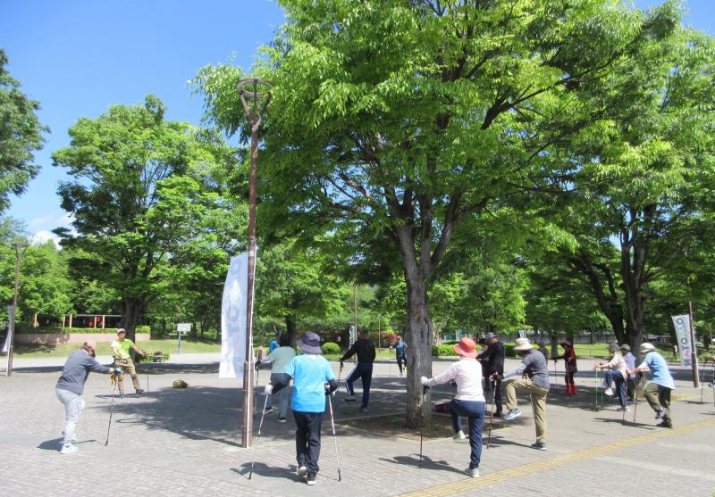 日差しが強くなっています（準備運動）