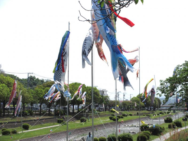 風があり泳いでます