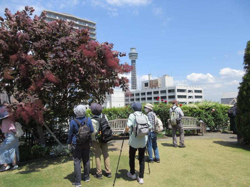 元町着アメリカ公園