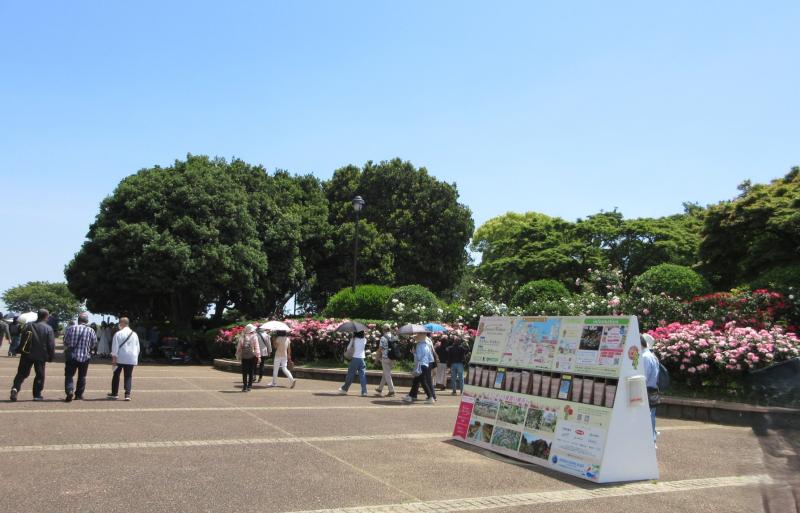 公園着です（人出が多い）