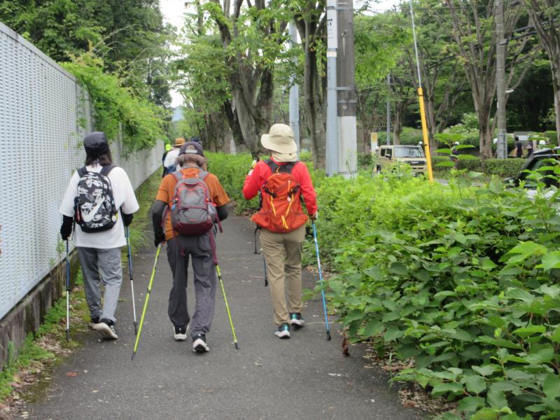渋沢駅に続く道へ