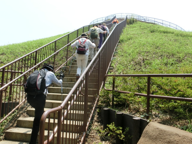 川和富士の階段を登る