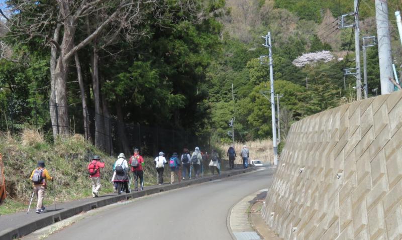 戸川公園からは歩きやすい歩道がある