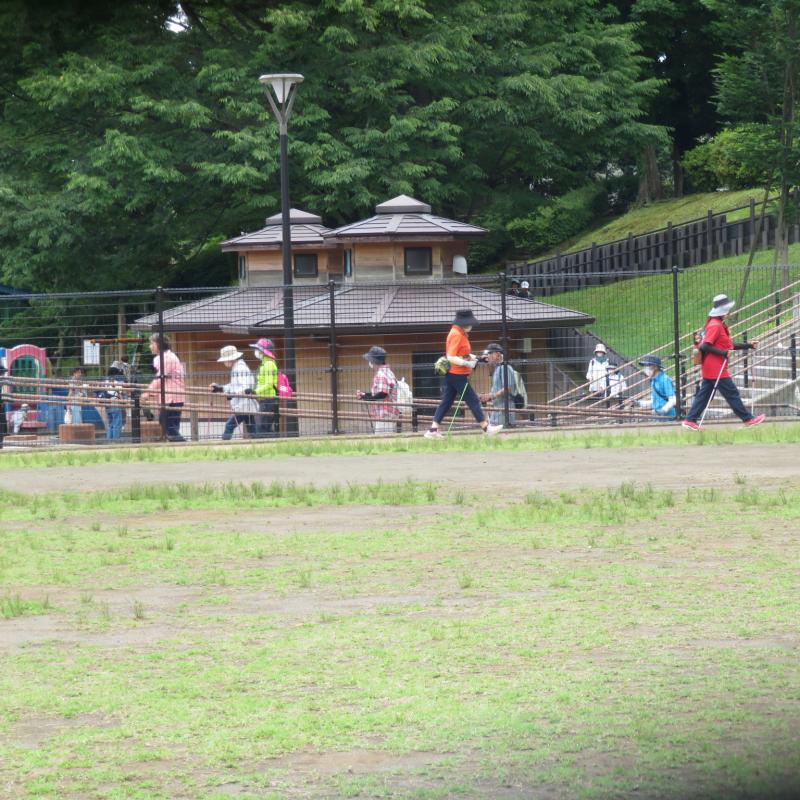 うさぎさんは大回りしてきました