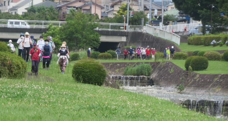 右岸はカメで左岸はうさぎさん