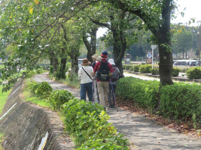 桜の土手は木陰