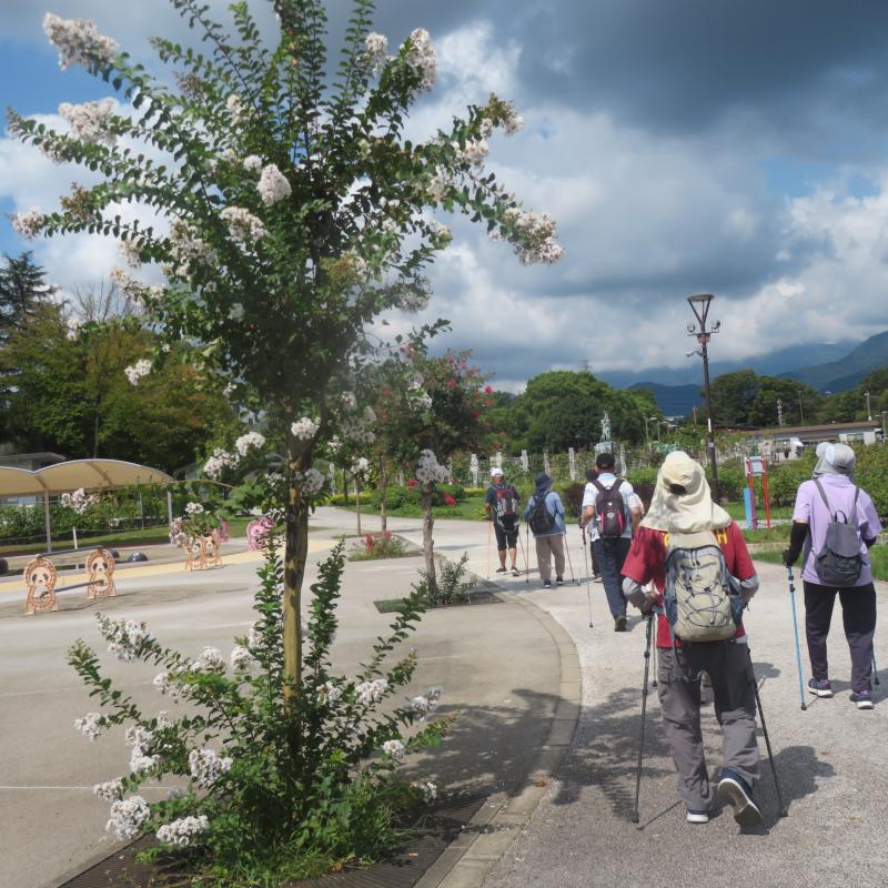 帰り道です暑いですね