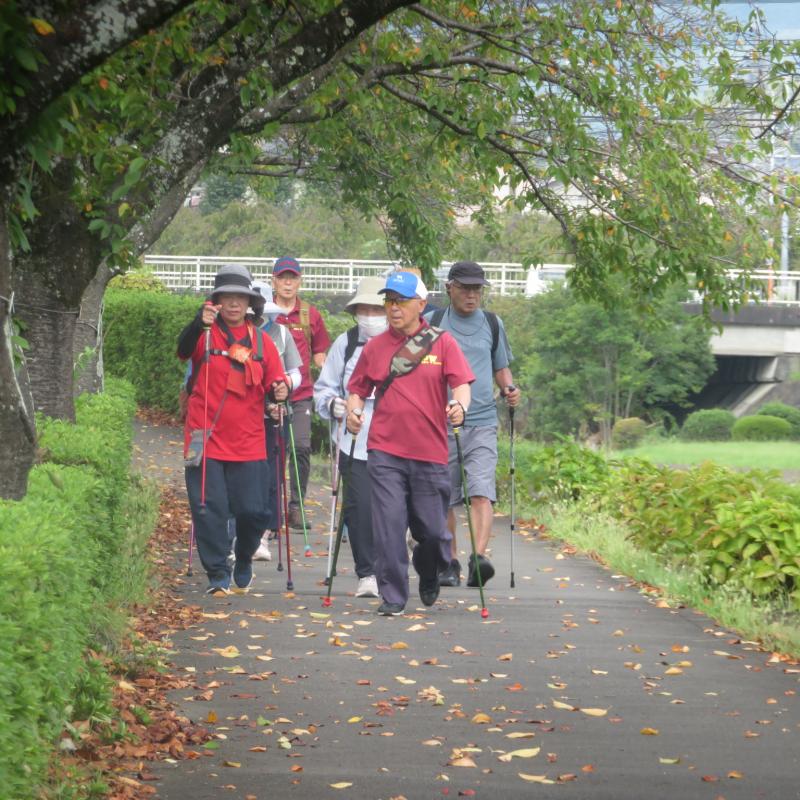 桜土手を行きます