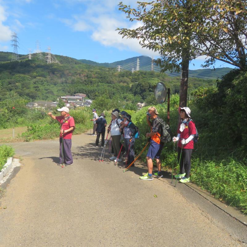 今日は富士山見れず