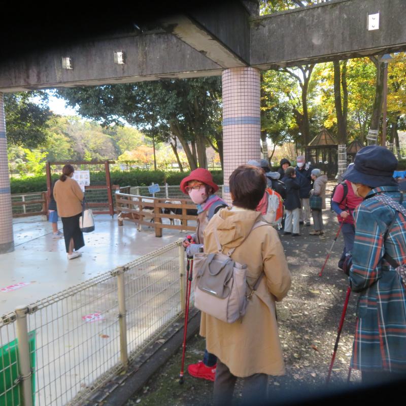 ふれあい動物園で楽しんでます