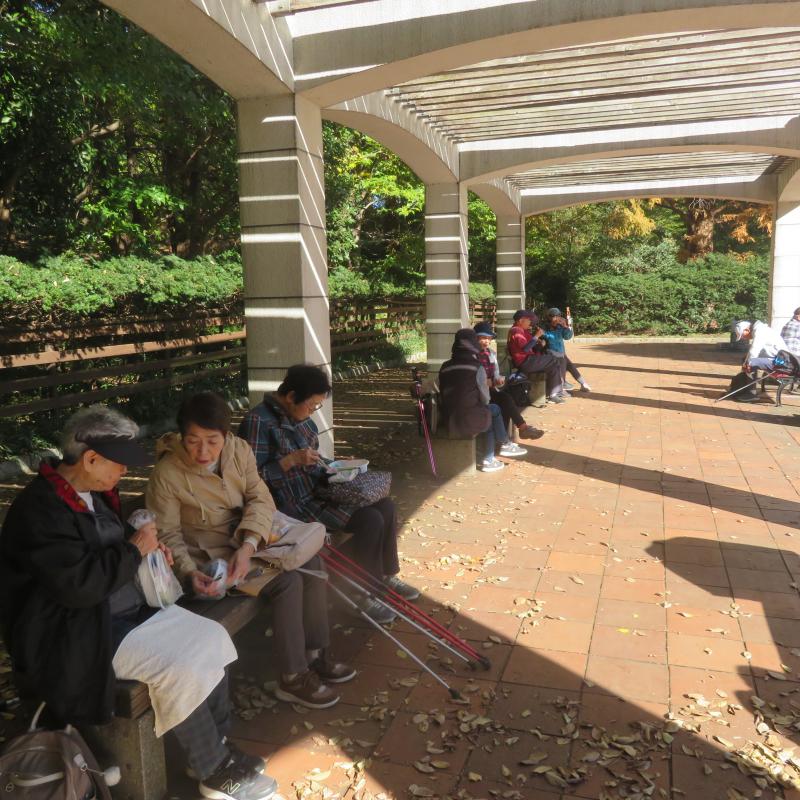 日差しが強いので日陰で