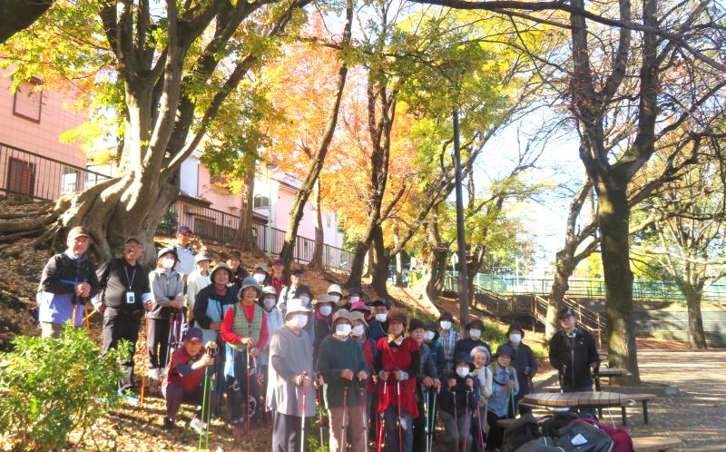 ピクニック広場の斜面で