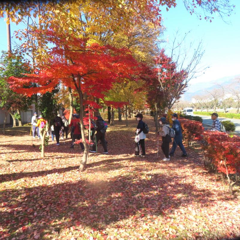 公園の周りも紅葉