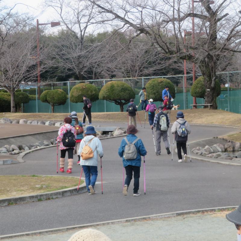 登坂はポールを使いましょう