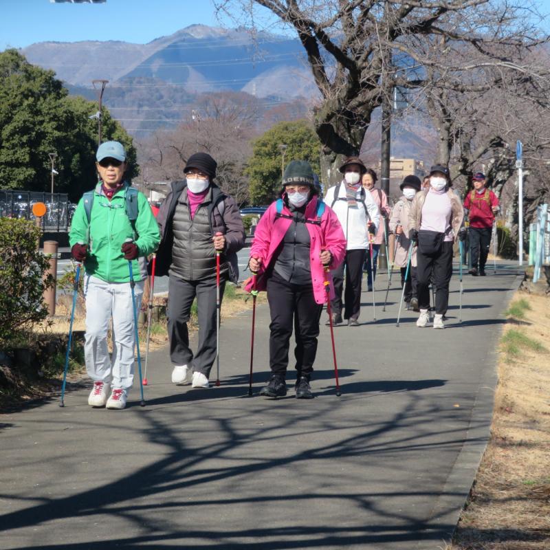 橋を渡ってきたうさぎさん