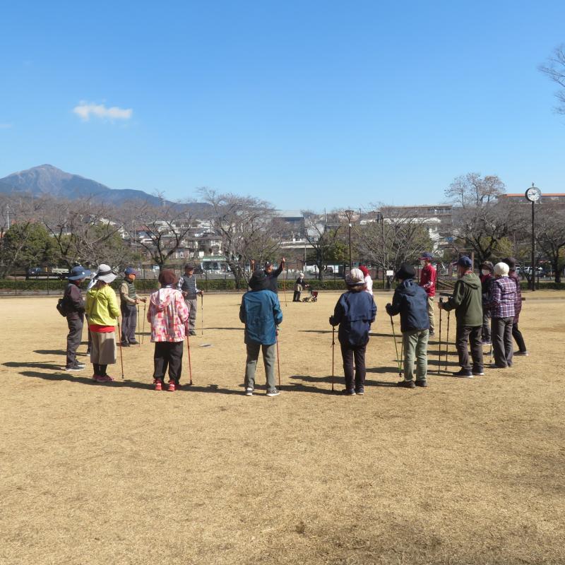 きれいに輪になってます