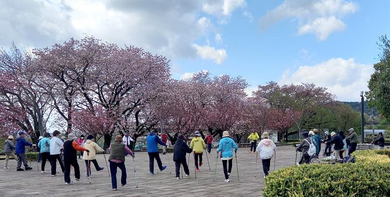 八重桜が残っている